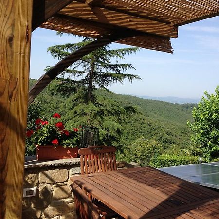 Agriturismo Borgo Nuovo Di Mulinelli Arezzo Bagian luar foto