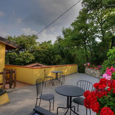 Agriturismo Borgo Nuovo Di Mulinelli Arezzo Bagian luar foto
