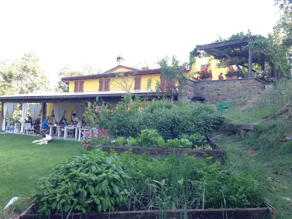 Agriturismo Borgo Nuovo Di Mulinelli Arezzo Bagian luar foto